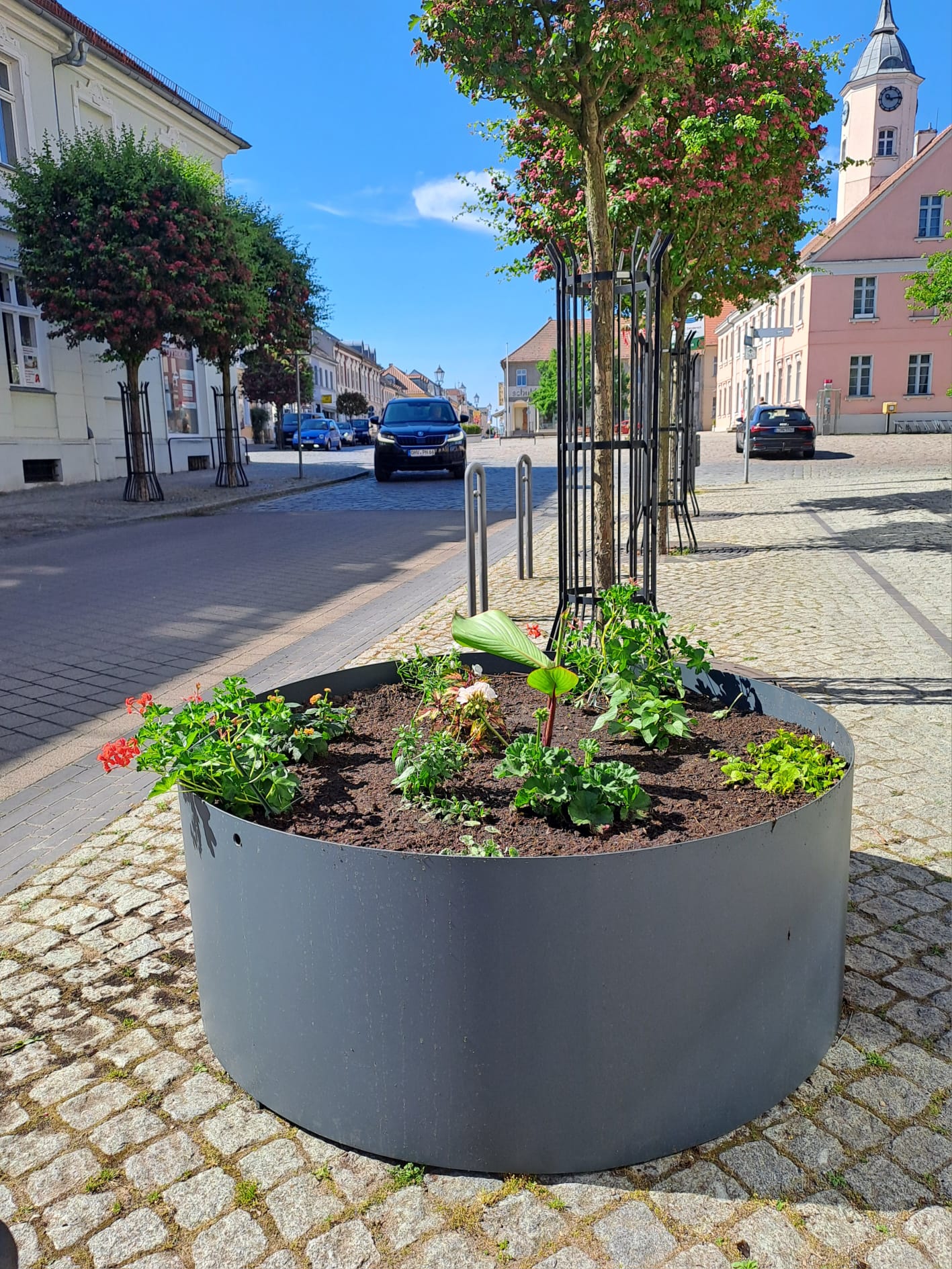 Blumen für Zehdenick